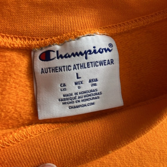 Champion Orange Men's Niagara Falls State Park Sweater - Picture 2 of 4